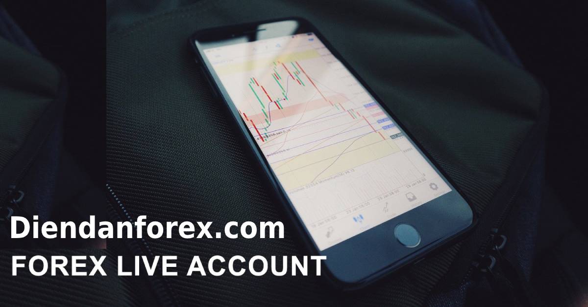 giao_dịch_forex_live.jpg